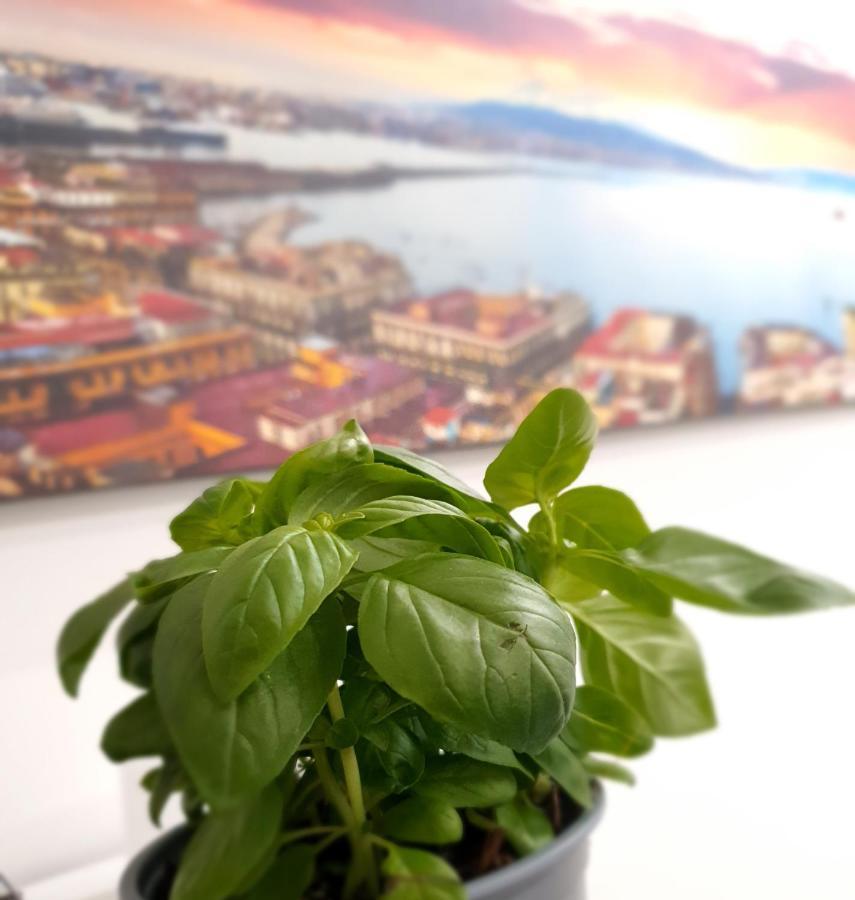Gaisa Naples - Bed And Breakfast エクステリア 写真