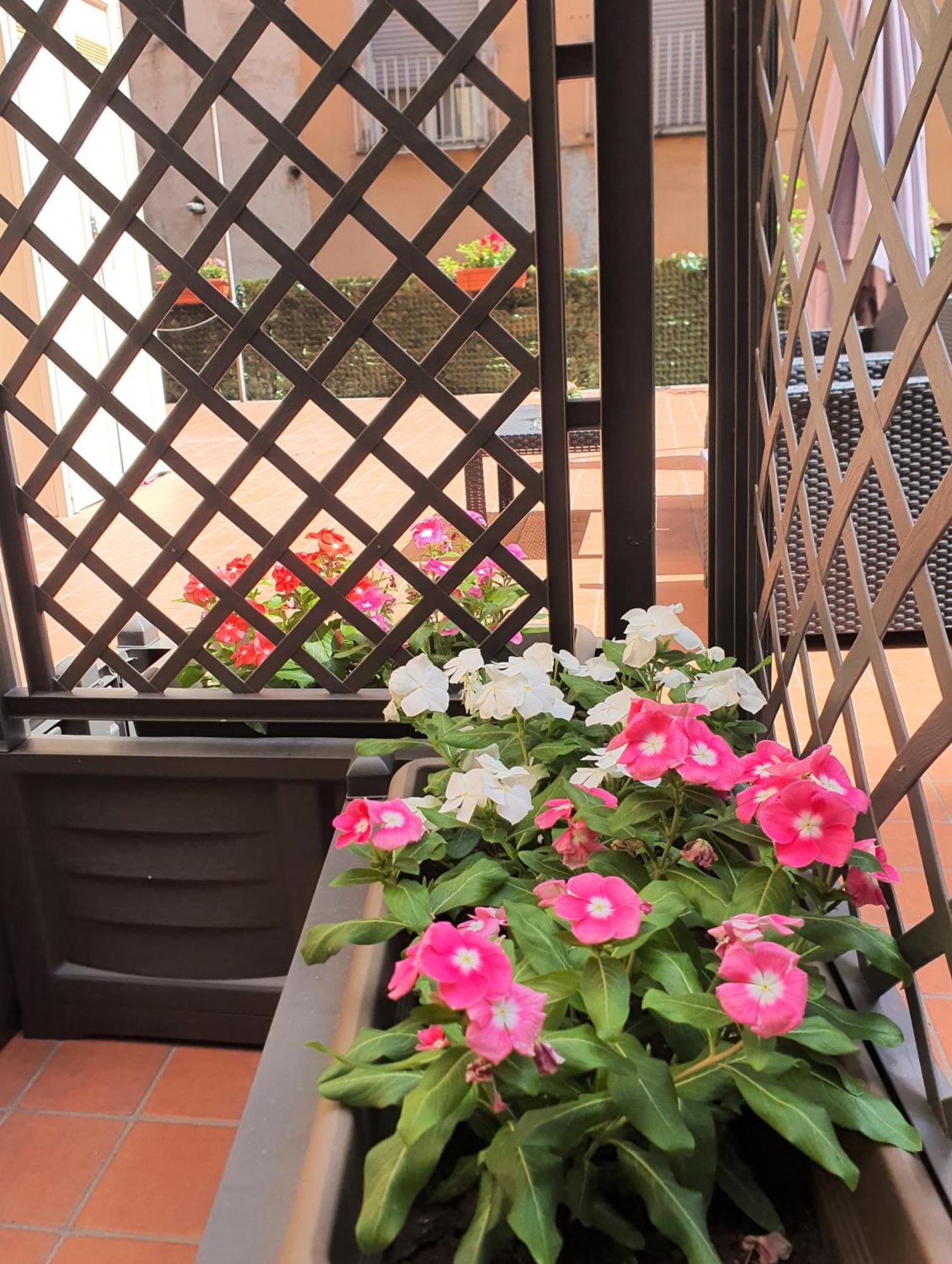Gaisa Naples - Bed And Breakfast エクステリア 写真